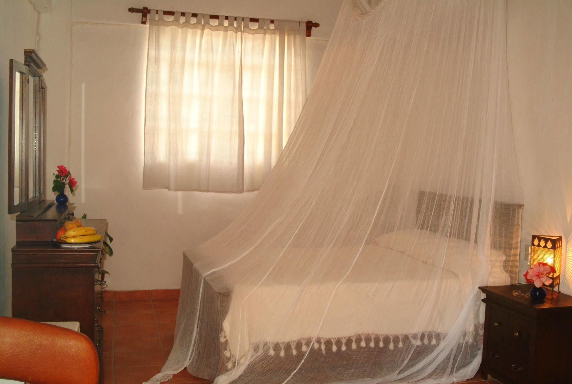 Casa Tukari Colonial House Hotel Puerto Vallarta Zewnętrze zdjęcie